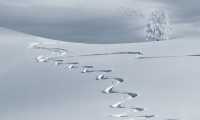 wintry 2068298 960 720