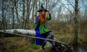 witch g40c02706d 640