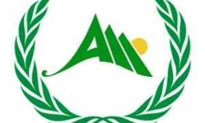 young academy adward