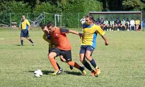 zanetti inter farmaci 2015