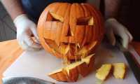 zucca