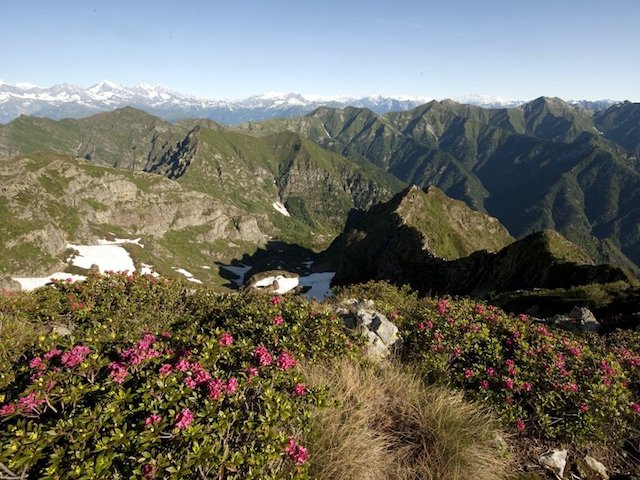 00.panorama 800