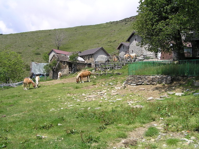 alpe biogna