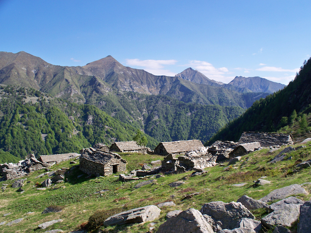 valgr