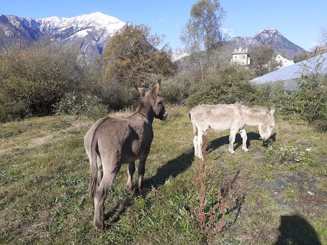 IMG 20191114 WA0002