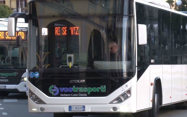 bus