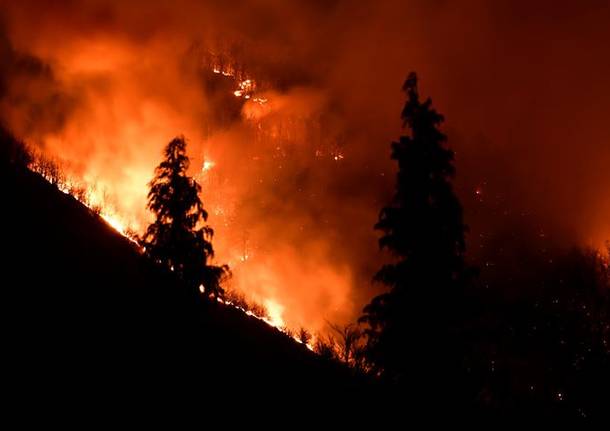 incendio 2019