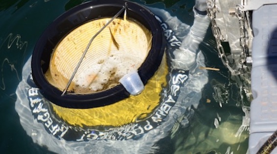 Foto Seabin