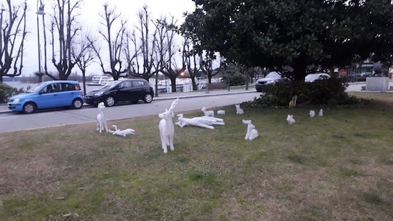 arona vento 2