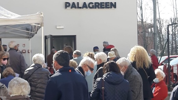 palagreen folla