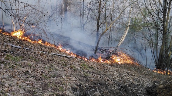 armeno incendio 1