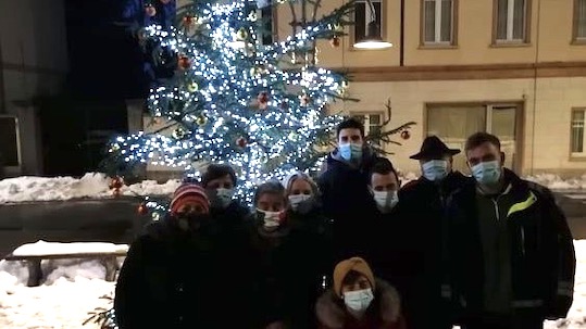 armeno albero