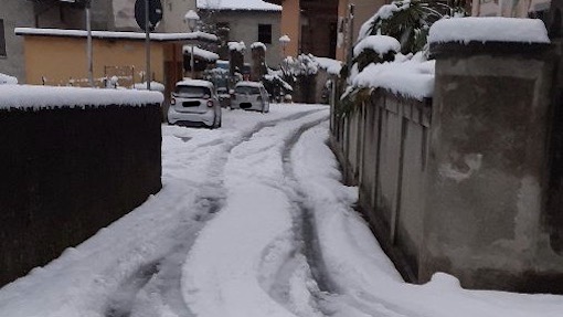 legro neve