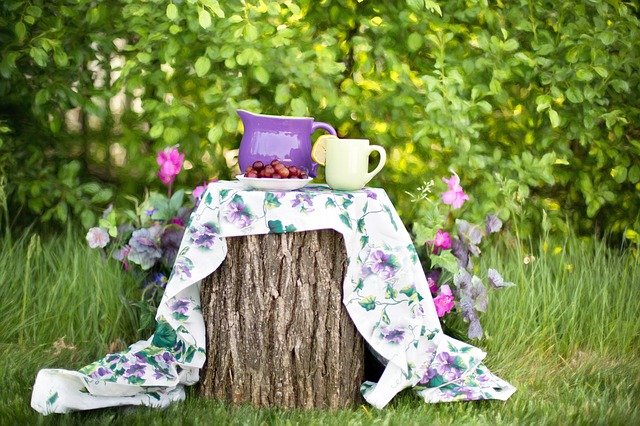 Merenda giardino the