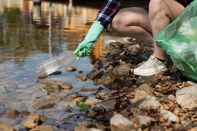 Plastica bottiglia ecologia