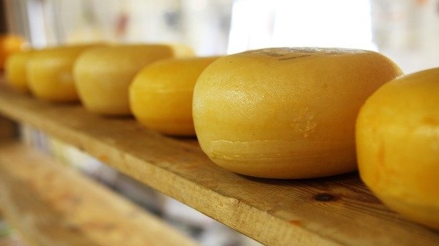 formaggio