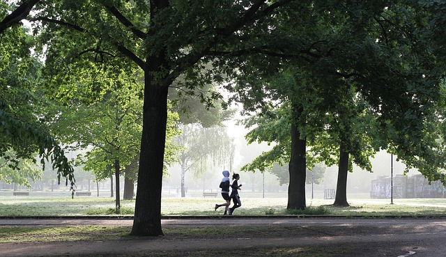 jogging 4211946 640