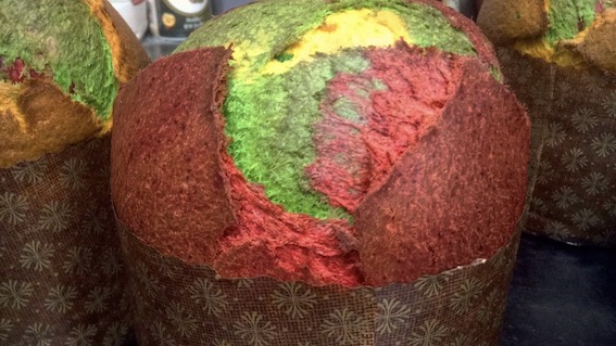 panettone rodari