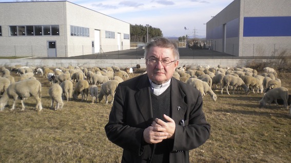 don trentani