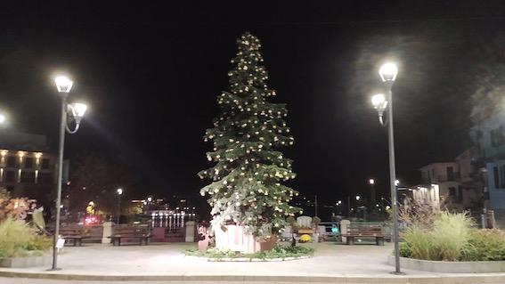 albero omegna