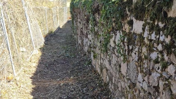 baveno ripulito