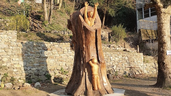 omegna tronco