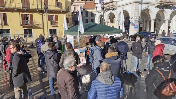 omegna soressi 2