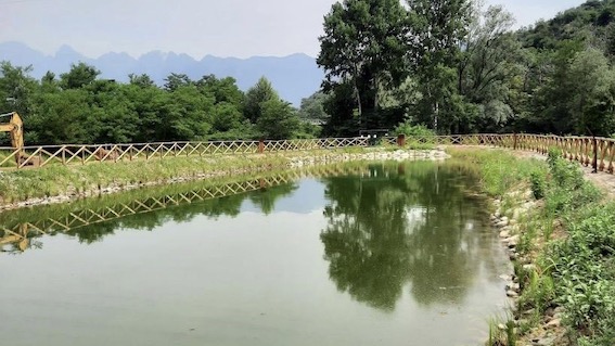 parco fluviale casale cc 1