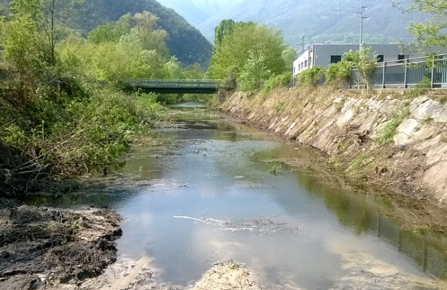 rio stronetta