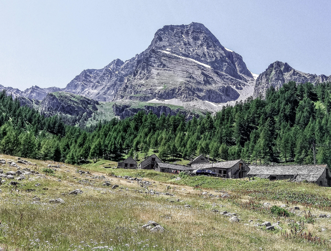 Schermata 2020 09 19 alle 11.23.29