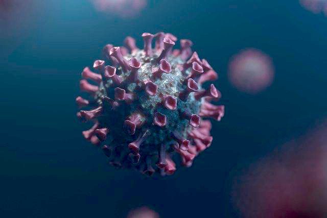 virus 6170929 640