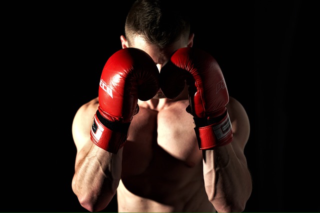 boxing 4677527 640
