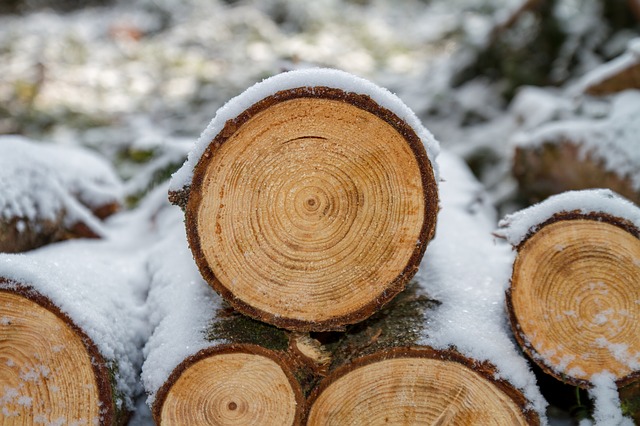 wood 3163292 640