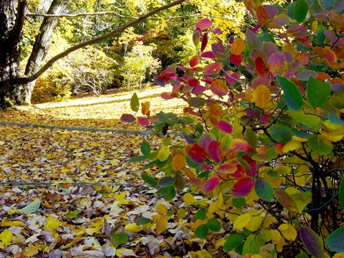 autunno2
