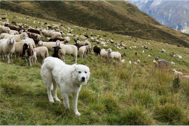 Schermata 2022 09 23 alle 09.21.20