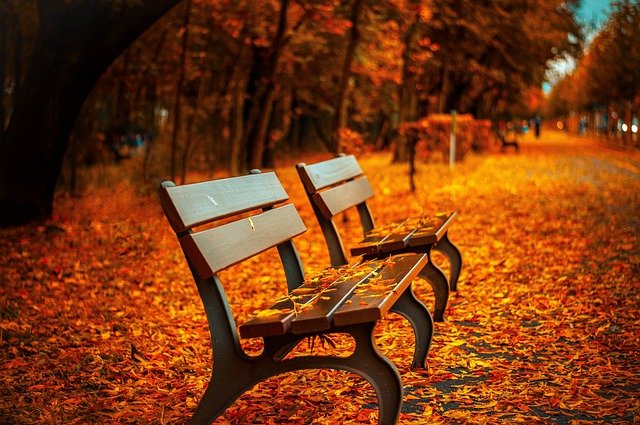 benches g099f719c5 640