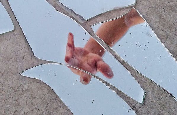 pexels photo 3022456