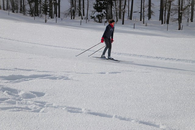 skis 7612818 640