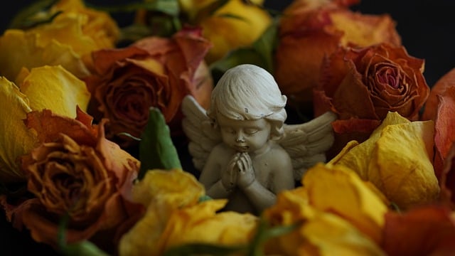 angel 8247102 640