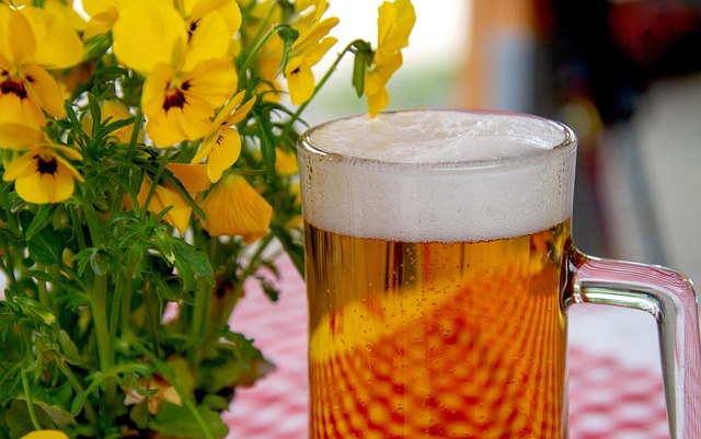 beer 3378136 640