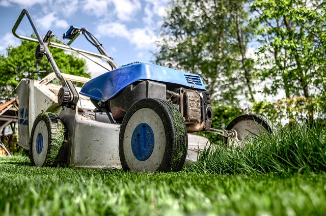 lawn mower 384589 640