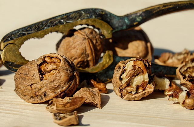 walnut 1751661 640