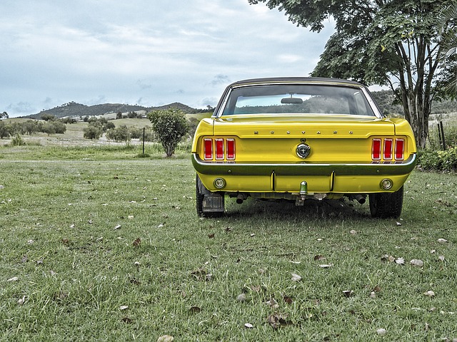 mustang