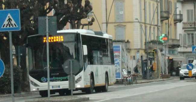 mameli c