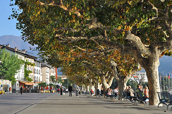 ascona lungolago