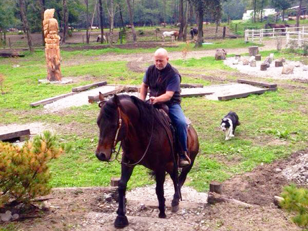 cavallo premosello