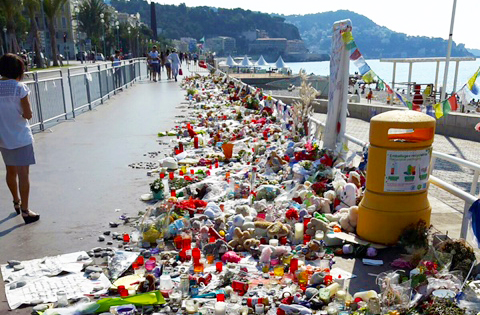questa nizza fiori