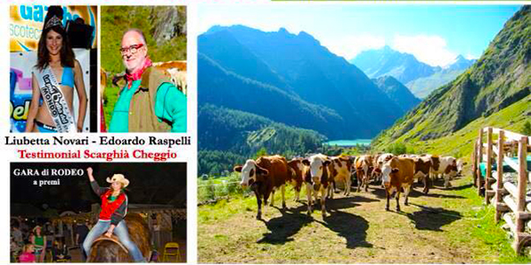 raspelli cheggio 16 locandina