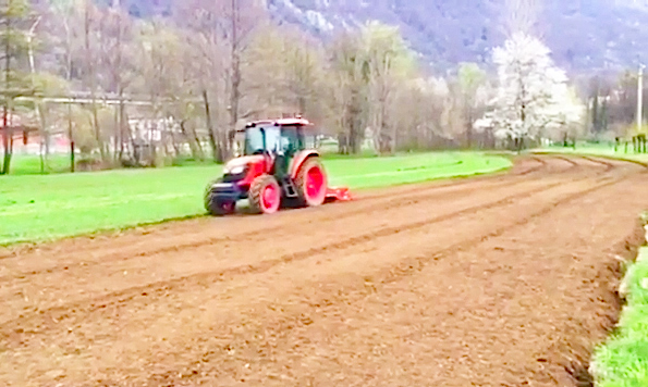 sagra patata semina trattore