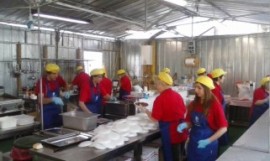 pacian cucina